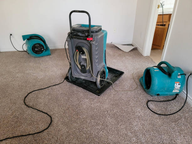Best Sewage cleanup and water damage restoration  in Montrose, MI