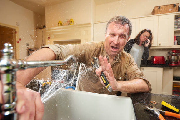 Best Basement water damage restoration  in Montrose, MI